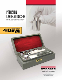 Thumbnail of document Data Sheet - Calibration Weight Set 200 g Range, OIML Class M1